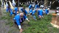 600年以上続く伝統の「お田植祭」 “神田”を作り田植えの様子を再現 岡山・新見市