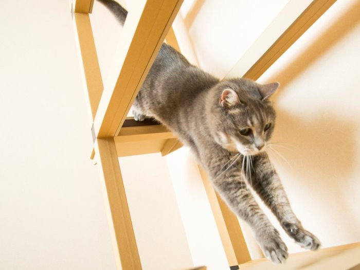 「8歳を越えた私にも良い運動」BYレイチェル