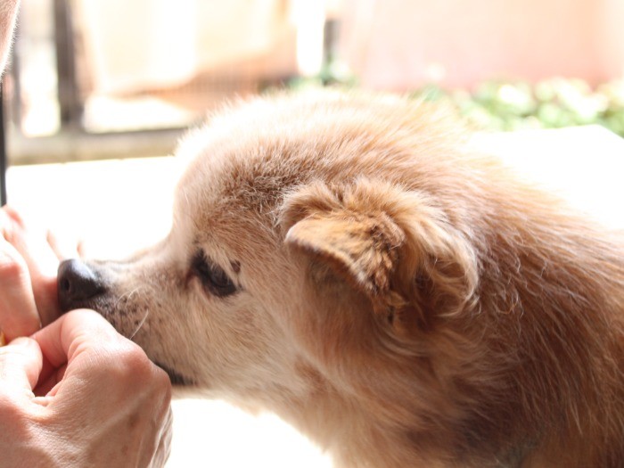 お母さんが「小顔で可愛い」って言うの