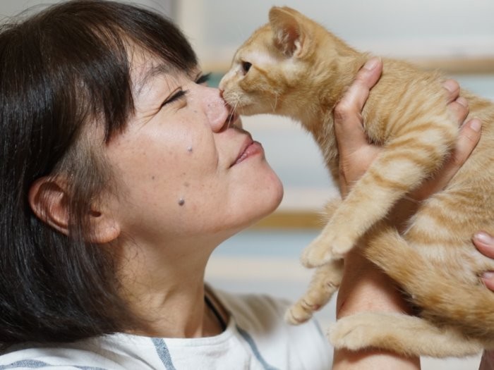 「優しい家族に巡り遭いますように」