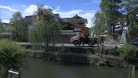 倉敷美観地区の象徴「柳」のせん定が始まる 街並みを美しく保ち病害虫を防ぐ 岡山
