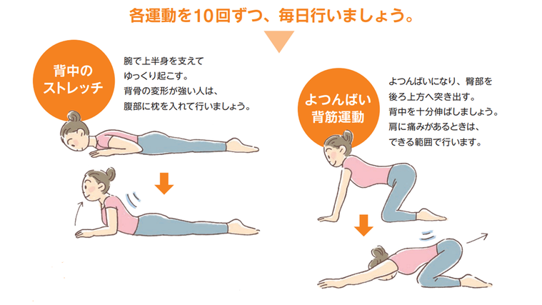 上部な骨をつくる骨粗鬆症予防・改善体操