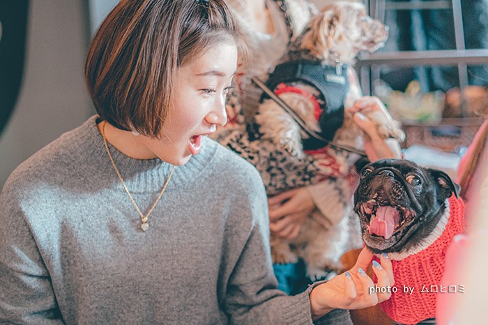 普段はオンラインでコミュニケーションをするアニドネメンバー。この日はオフ会。愛犬たちも参加