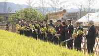 新嘗祭で献上 香川県代表・三豊市の大橋さんの田んぼで稲刈り