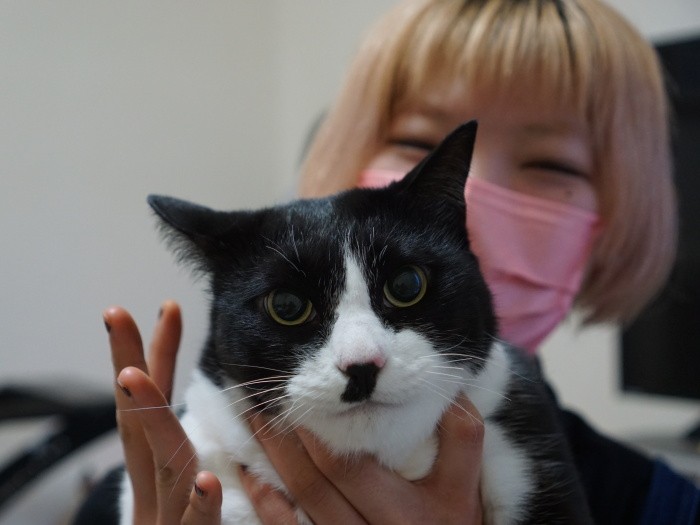 体がBIGだけど、ビビりでびくびくしやすいビック