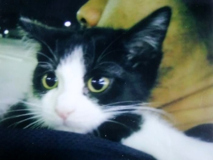 現在の保護・預かりのきっかけにもなった紅音ちゃん