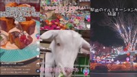 高校生18人の「TikTok部」がカフェやかわいい動物など地元の魅力をPR! 岡山市東区役所が企画