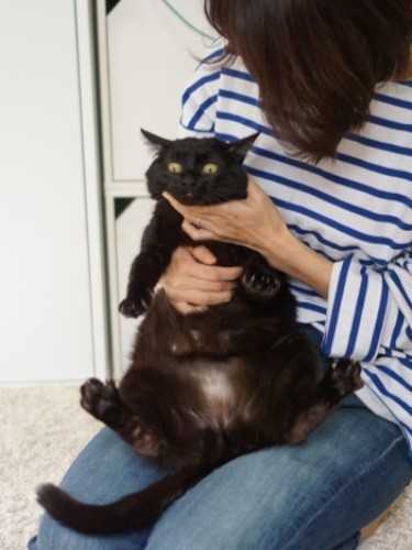 今はお腹がぽっこり、ダイエットしようか