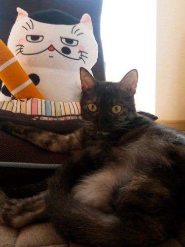 ふくまるとも仲良し(提供写真)