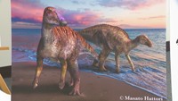 新種の恐竜「ヤマトサウルス」 淡路島の約7200万年前の地層から発見! 北海道大と岡山理大