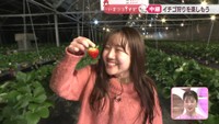 【中継】4品種を味わえるイチゴ狩り フレッシュイチゴたっぷりの自家製スイーツも 岡山・総社市【いまココ!ナビ】