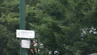 台風10号 岡山の状況(午前11時現在)全域に暴風警報 岡山市で男性が転倒しけが
