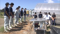 高校生が「スマート農業」を学ぶ AI活用してよりよい野菜栽培へ 香川・三豊市