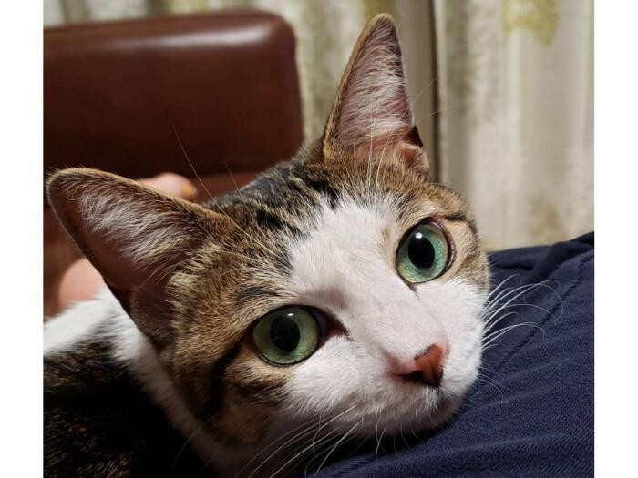 赤ちゃんが寝た後はカナコさんに甘える時間(カナコさん提供)