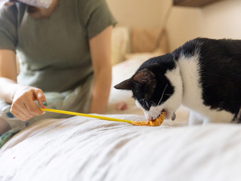 目が見えなくとも遊ぶんだなぁ