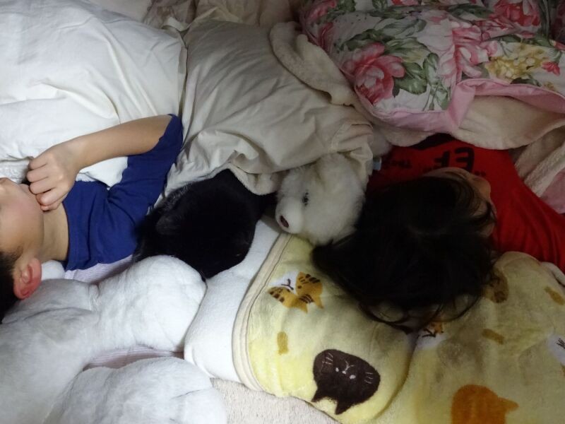 21 歳。クリスマスの夜に一緒にスヤスヤ。左からはる君、ベル君、犬のぬいぐるみ、ゆめちゃん「仲良しきょうだいです」(佐藤さん提供)