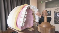 行くと歯を大切にしたくなる?「歯ART美術館」の不思議な世界 高松市