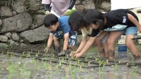 小豆島町の「中山千枚田」で田植え体験 地元の小学生が泥だらけで挑戦 香川