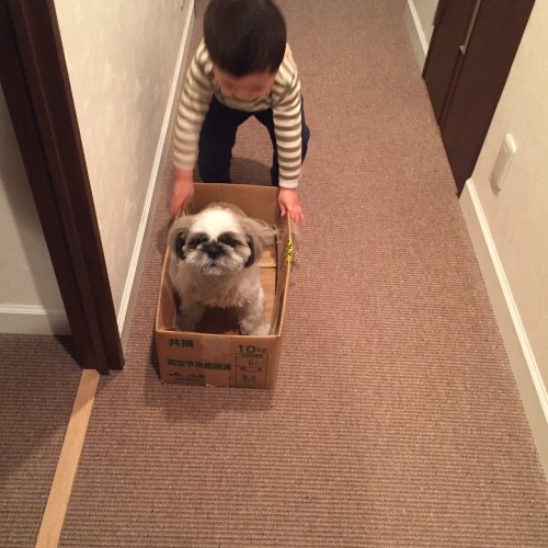 マイカーでおでかけ