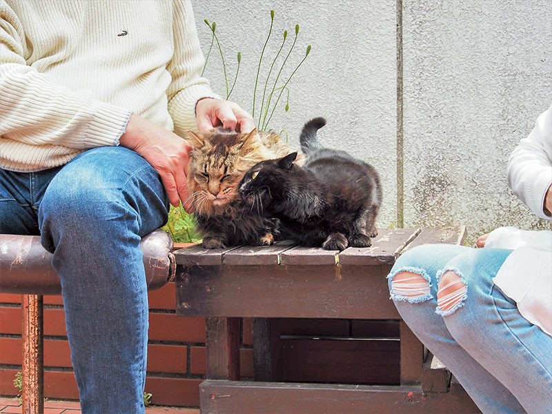 ベンチにクマが座ると、すかさずスリスリしに来たモモちゃん
