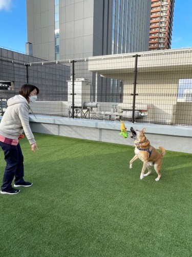 屋上のドッグランで。動物達も皆、南さんのことが大好き(南さん提供)