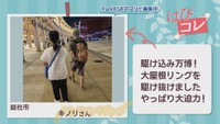 【はぴコレ】今年も遅れてきれいに咲いた・大屋根リングが大迫力 10月15日放送