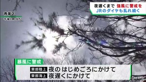 強風の影響 宮城県で東北新幹線と在来線のダイヤ乱れる