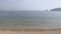 香川県の海水浴場 9カ所全てで水質基準をクリア