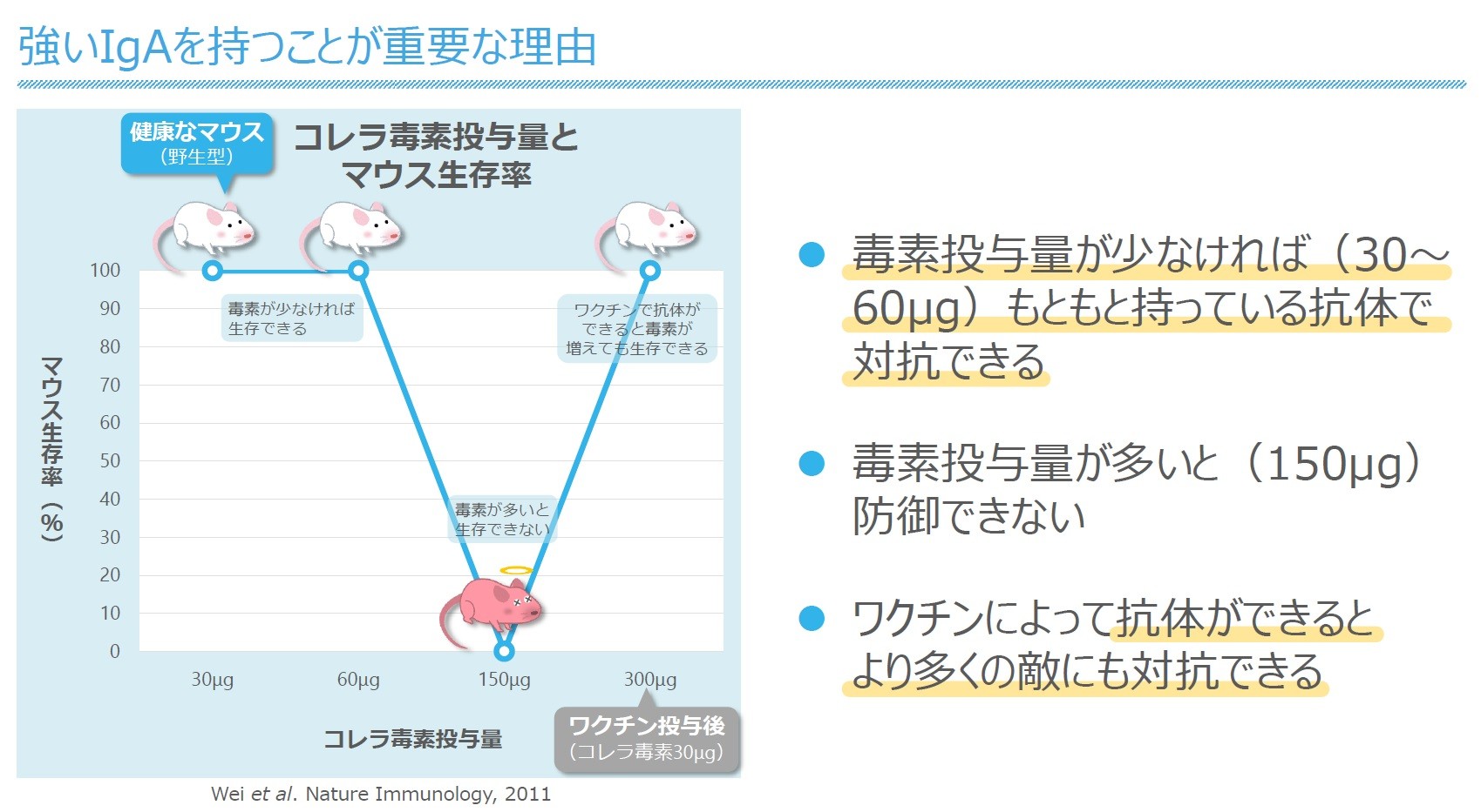 健康なマウスとコレラ毒素