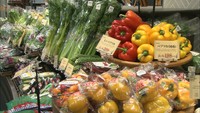 消費増税から1週間 消費者の生活やお店の売り上げの変化は? 岡山