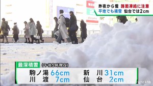 宮城県で15日夜から断続的に雪 平地でも積雪 雪不足のスキー場には恵みの雪