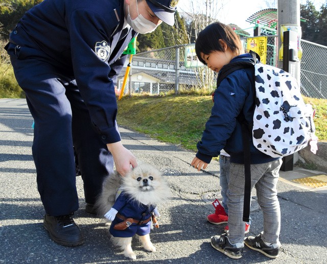 毎朝、飼い主の中川祐一巡査部長と一緒に小学校や保育園前で見守り活動をする=2021年3月4日朝、京都府伊根町、白見はる菜撮影