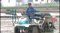 特A評価の復活を!香川県産のお米「おいでまい」の田植え始まる