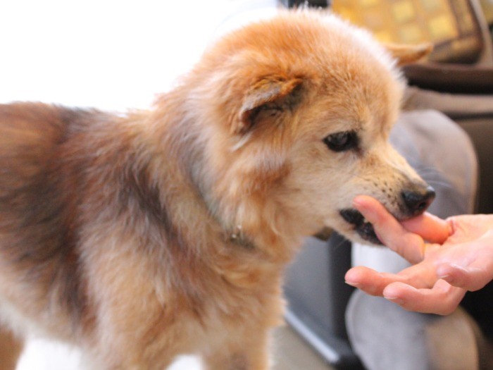 おやつの食べ方がよく分からなった