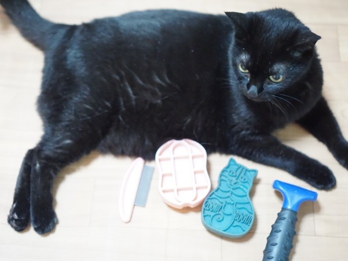 いろんなタイプの櫛やブラシがあるね