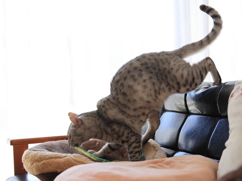 降りる時は早い寿一郎