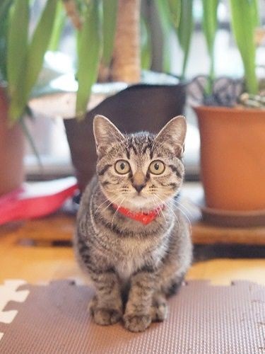 そうこうしているうちに、ふっくらしたみたい