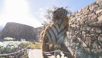 「今にもほえだしそう」国営讃岐まんのう公園に大きな「寅」のオブジェ 香川・まんのう町