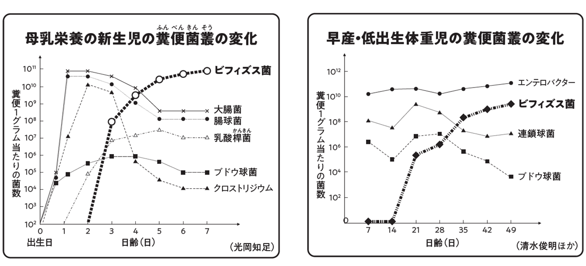 腸内フローラの変化