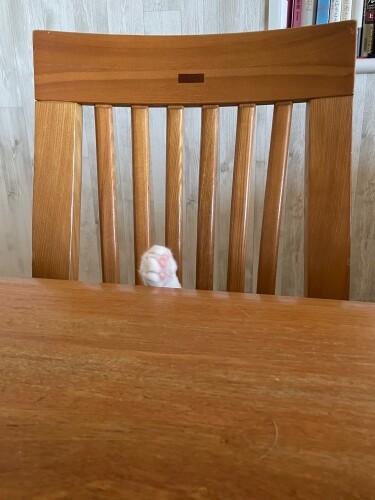 「お~~い」と手を振るジャッキー
