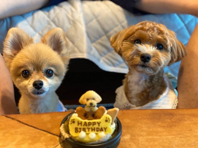 誕生日に記念撮影でとっておきのキメ顔(お母さん提供)