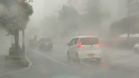 「突然、横殴りの非常に強い雨が…」岡山市では浸水被害、JR瀬戸大橋線などで一時運転見合わせも