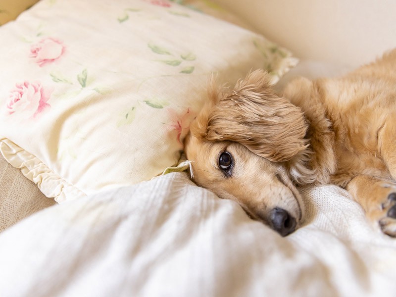 れもん、今日はアテンドありがとねー