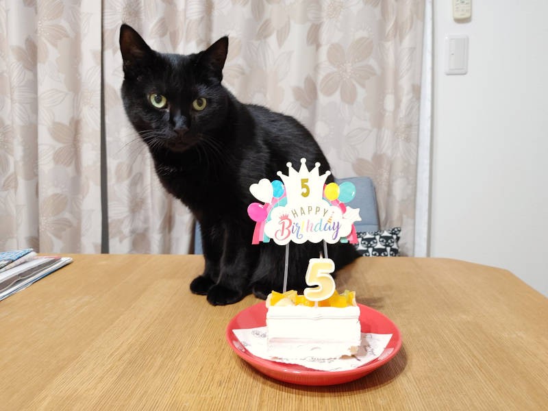 先月5歳のお誕生日を迎えました