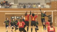 約450人の女性が参加したバレーボール大会 熱戦を繰り広げる 岡山・笠岡市
