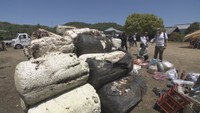 海ごみを新しい製品へ 粟島で環境美化プロジェクト 東京藝大学長・日比野克彦さんも参加 香川・三豊市