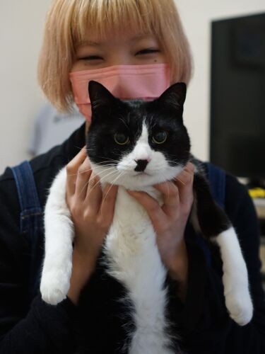 猫を抱くと自然に笑みがこぼれます