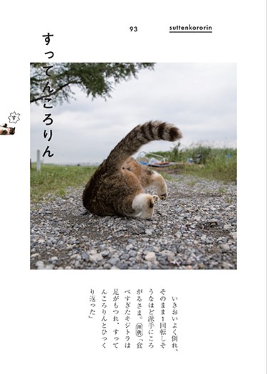 「ぎおんご ぎたいご にゃんこ」より(沖昌之撮影、青春出版社提供)