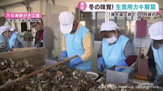 宮城県産生食用カキの出荷が約1カ月遅れで始まる 津波被害の気仙沼大島でも出火に向けて準備