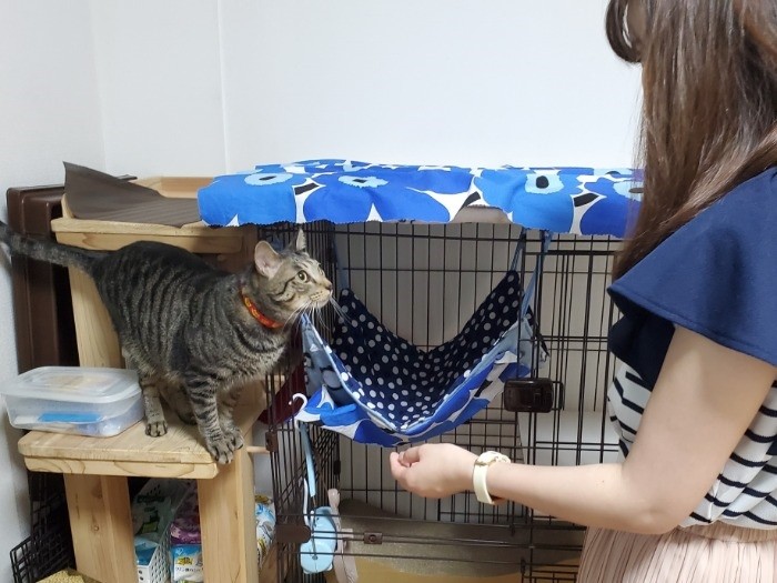 「君の名は?」「みなみ」